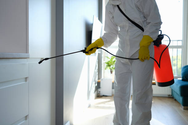 Best Affordable Mold Removal  in Newport, NC